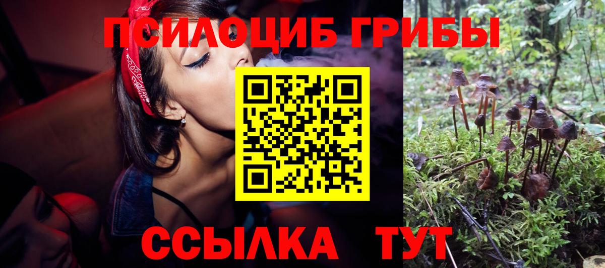 Димитровград  Галлюциногенные грибы GOLDEN TEACHER  Вход с VPN  Галлюциногенные грибы мухоморы 