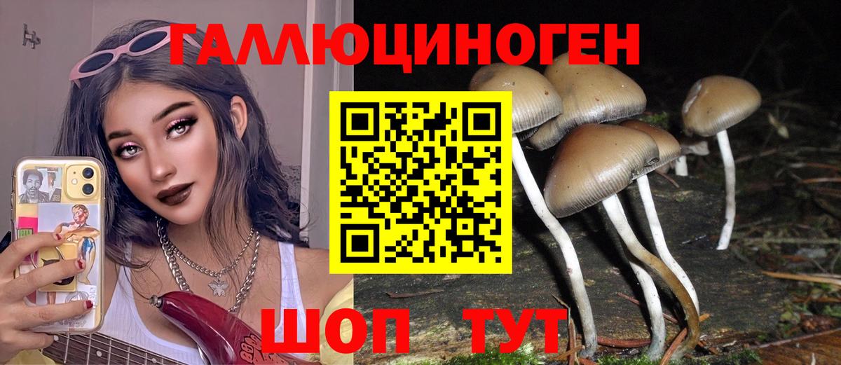 Галлюциногенные грибы прущие грибы Димитровград